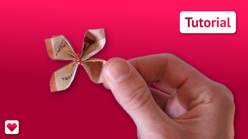 Geldscheine falten: Schmetterling – schönes Geldgeschenk